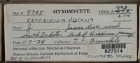 Image Associated With the Occurence